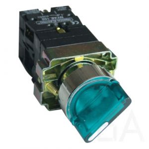 Tracon  Világító választókapcsoló, fémalap, zöld, LED, kétáll., izzó n., NYGBK2365Z Világító választókapcsoló