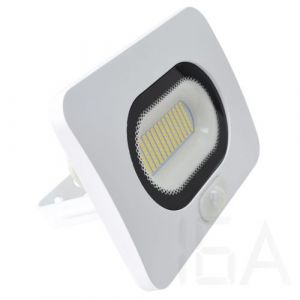 Tracon  SMD fényvető mozgásérzékelővel, fehér, RSMDLFM50 LED reflektor