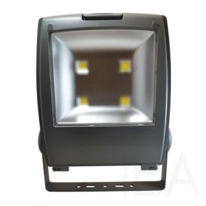 Tracon  LED fényvető, porszórt házas, R-SMDP-200W LED reflektor